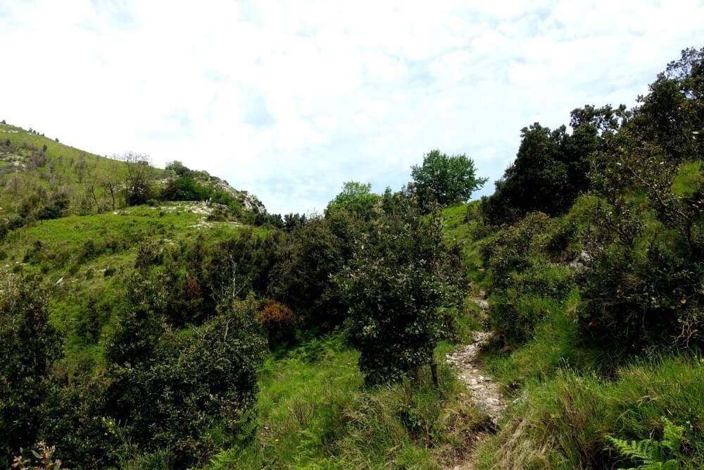 Zwischen Salerno und Maori