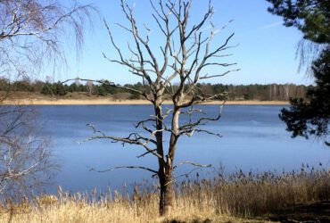 Naturpark Uckermärkische Seen: Geheimtipp zum Wandern und Campen in Brandenburg