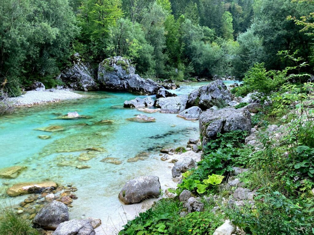 Soča Fluss im Wald.