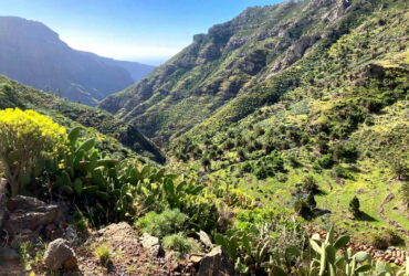 La Gomera: Die schönsten 10 Tageswanderungen (mit Karte und Geheimtipps)