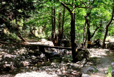 Wanderung durch die Agia-Irini-Schlucht in Kreta: Geheimtipp für stille Genießer