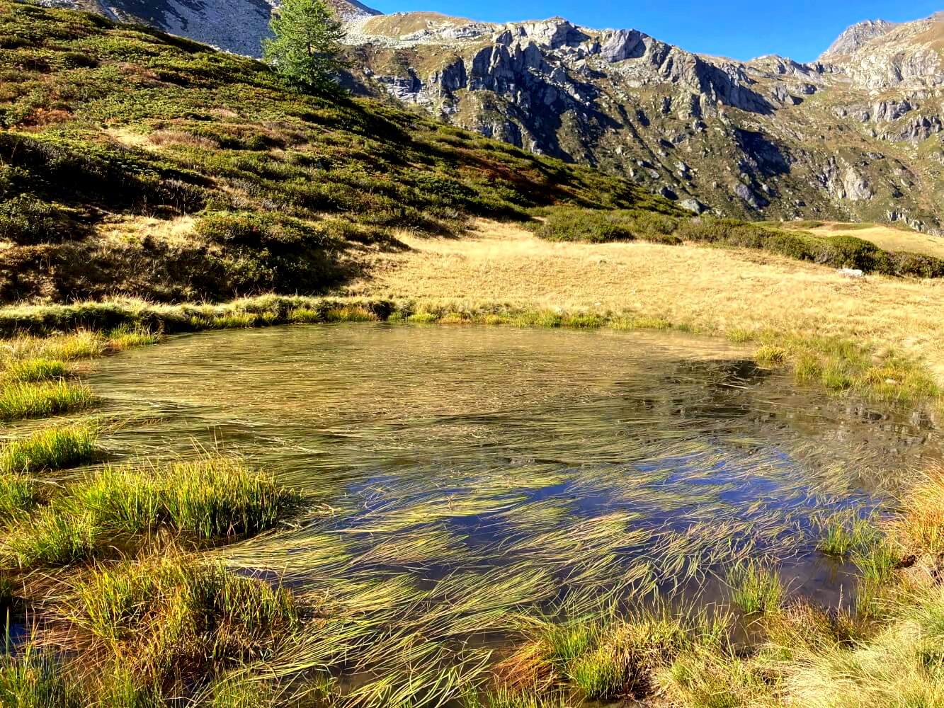 Kleiner See auf der Alpe Devero.