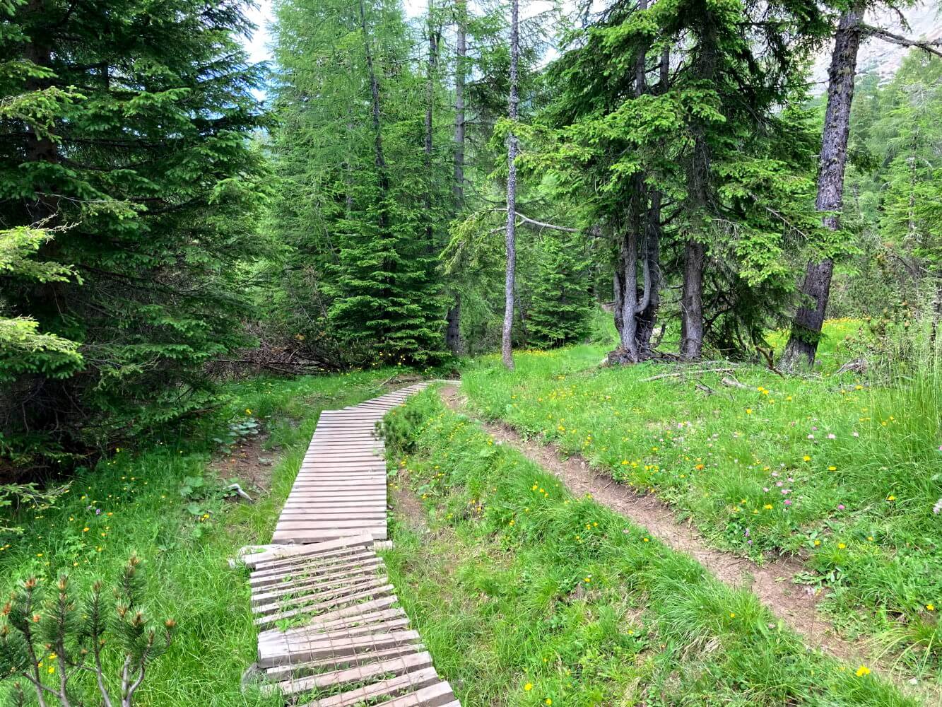 Holzbohlenweg im Val di Zoldo