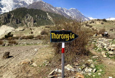 Annapurna Circuit: Etappe 12 - Churi Ledar – Thorong Highcamp