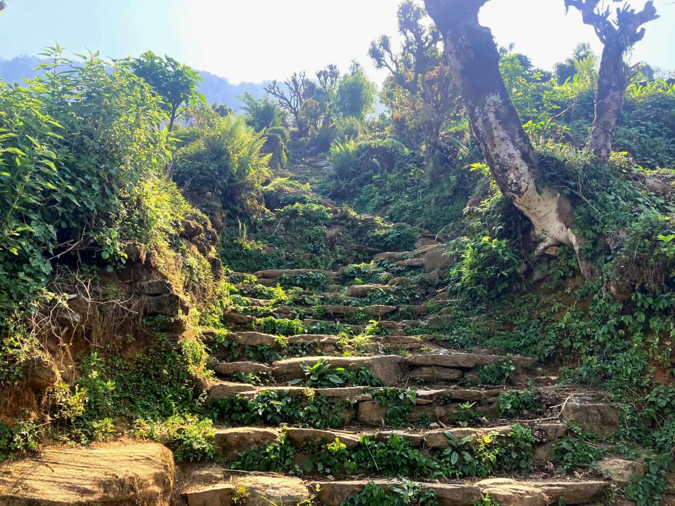 Treppe auf dem Wanderweg zum Mardi Himal.