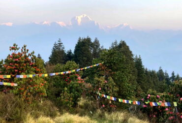 Poon Hill Trek: Der vielleicht schönste Sonnenaufgang im Himalaya