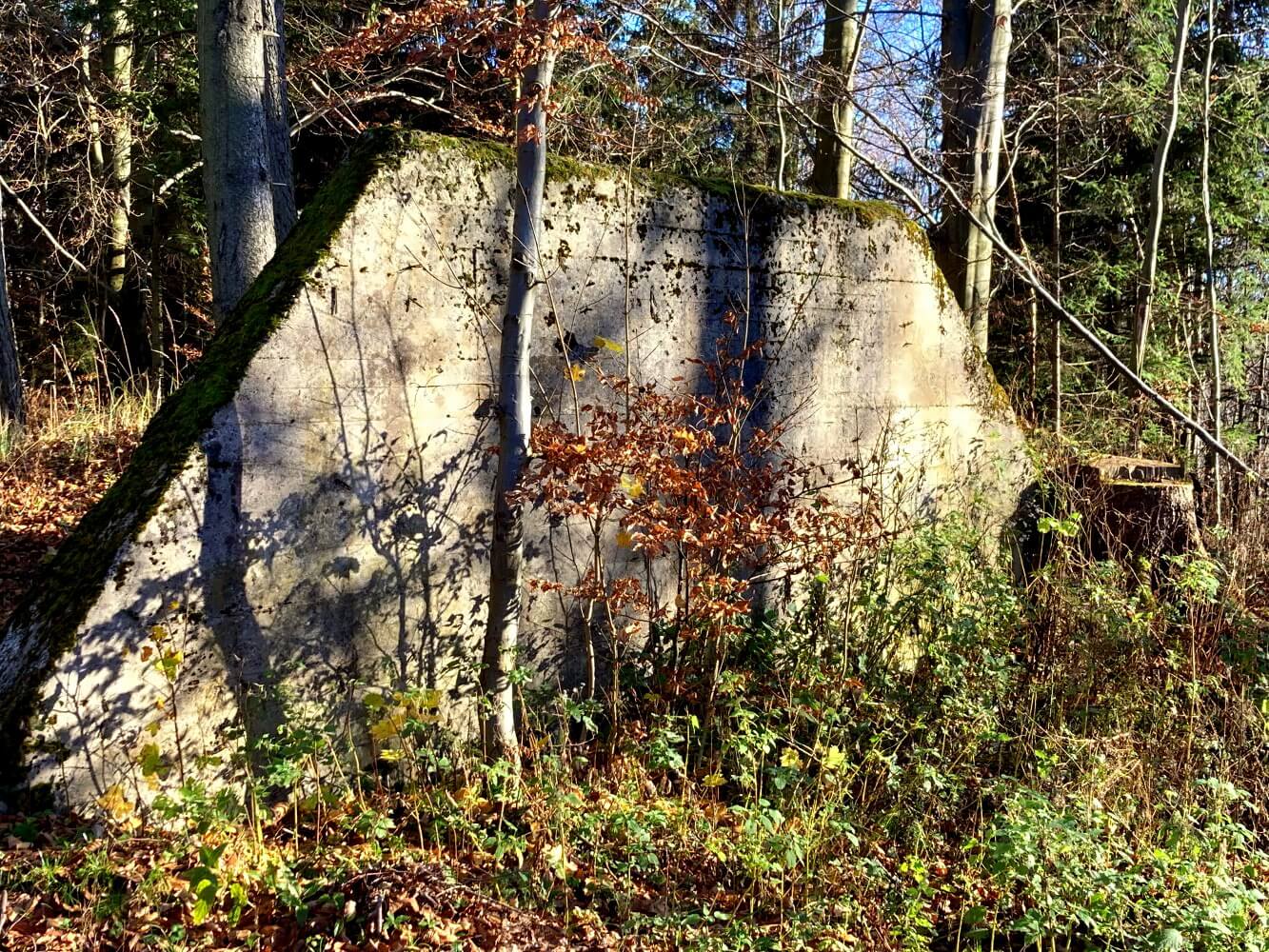 Alte Mauer aus Beton im Wald bei Projekt Riese Polen Niederschlesien.
