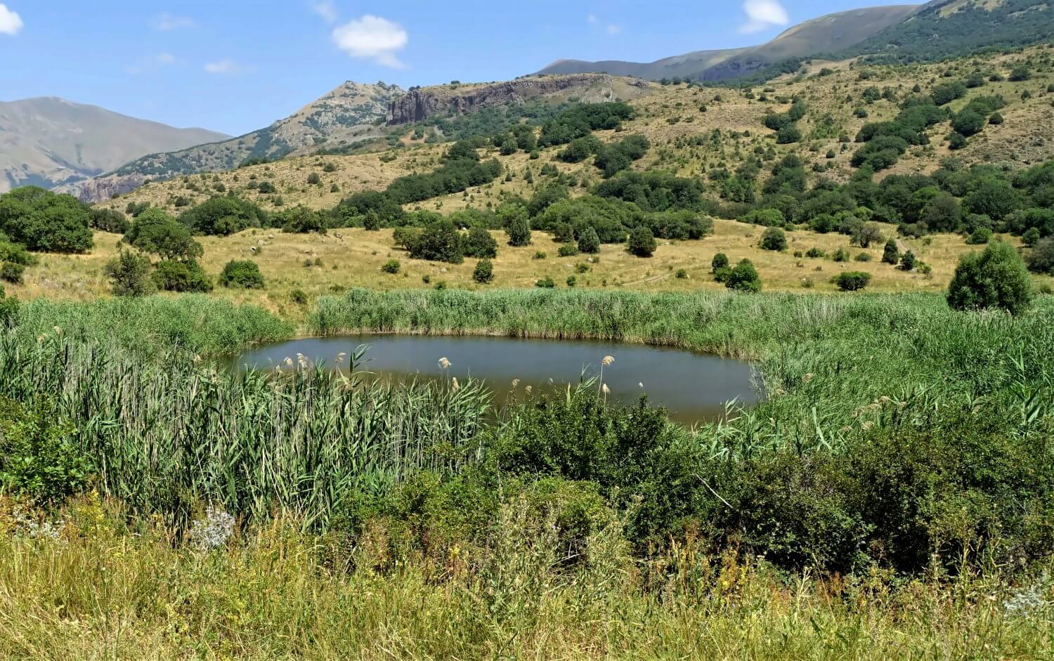 See im Chosrow Reservat in Armenien.