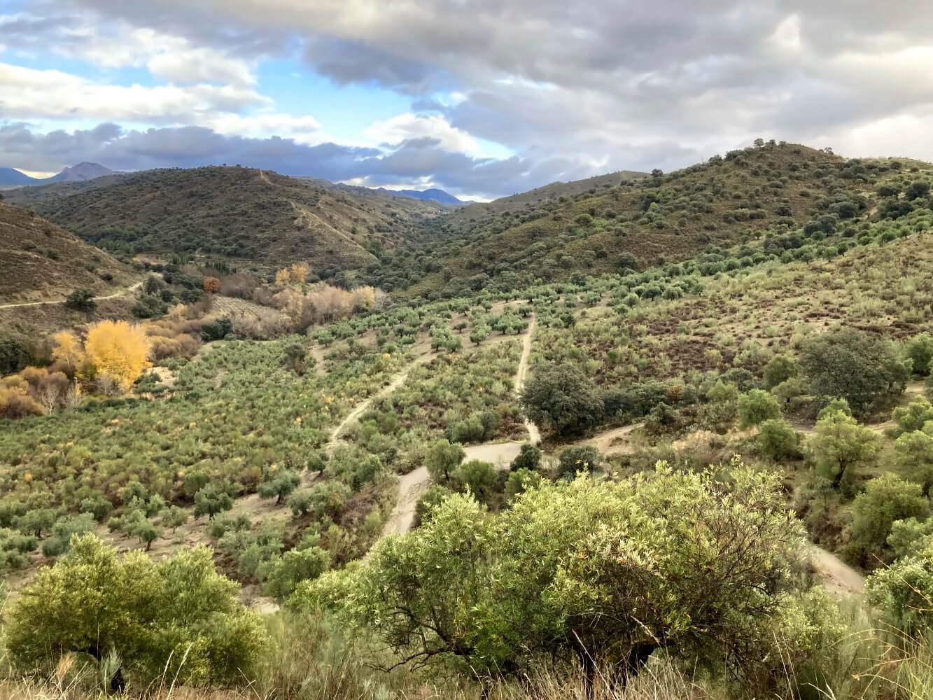 Wanderung von Granada durch die Olivenhaine im Naturpark Dehesa del Generalife.