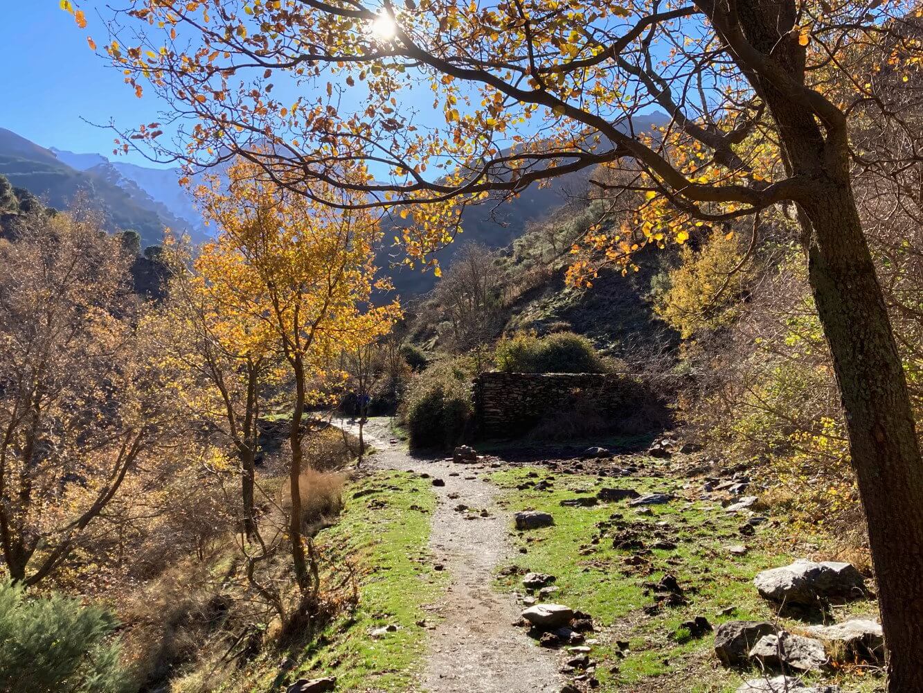 Wanderweg in der Sierra Nevada.