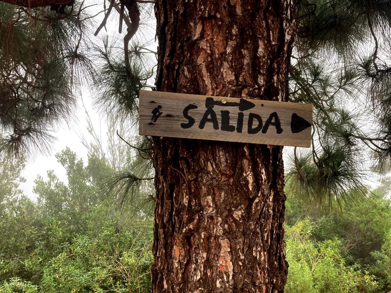 Schild Salida ist der Ausgang der Wanderung in Teneriffa zur Schlucht.
