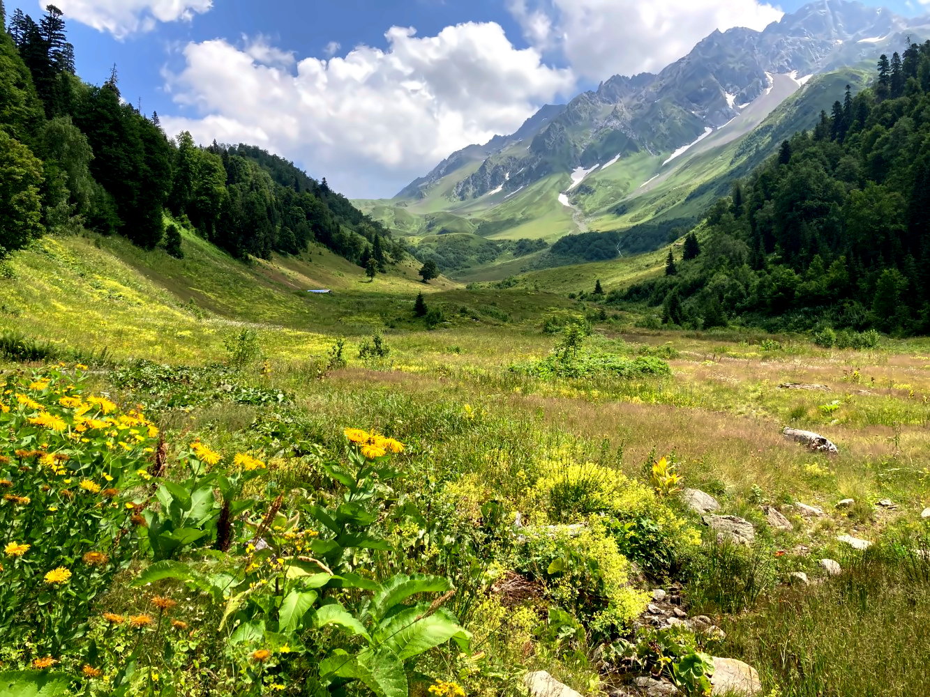 Berge des Kaukasus in Georgien.