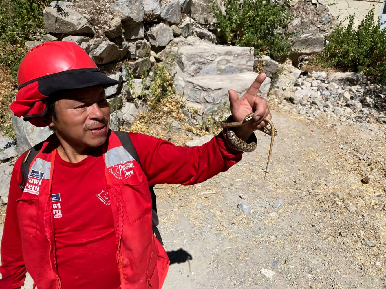Feuerwehrmann mit Schlange im Colca Canyon.