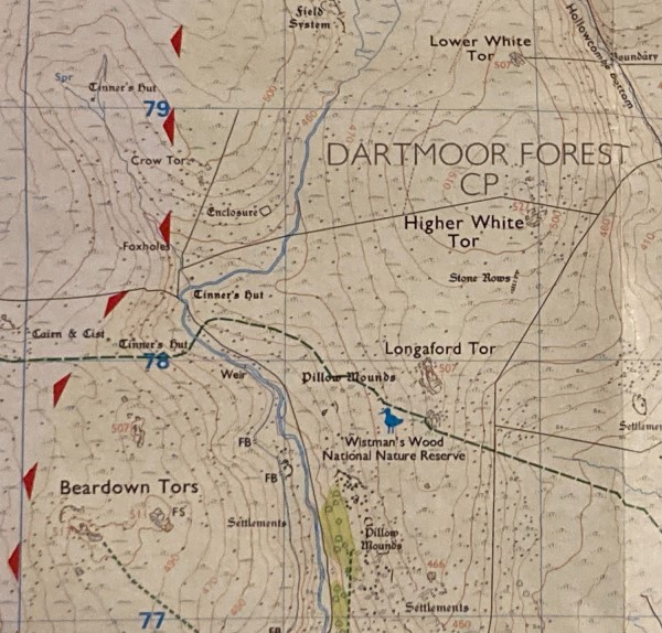 Dartmoor Topografische Karte