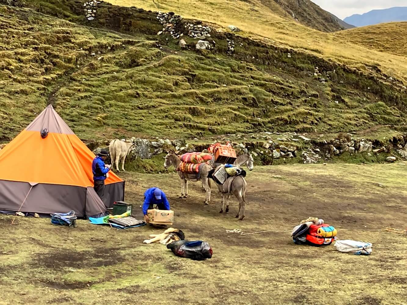 Camp und Esel beim Huayhuash Trekking.