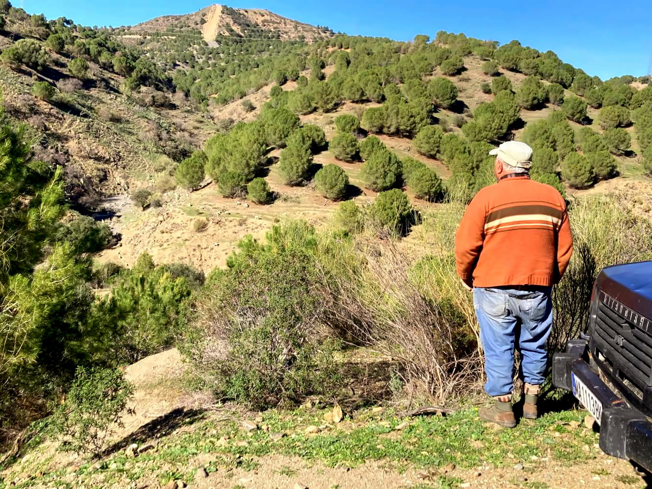 Schäfer in den Hügeln von Andalusien.