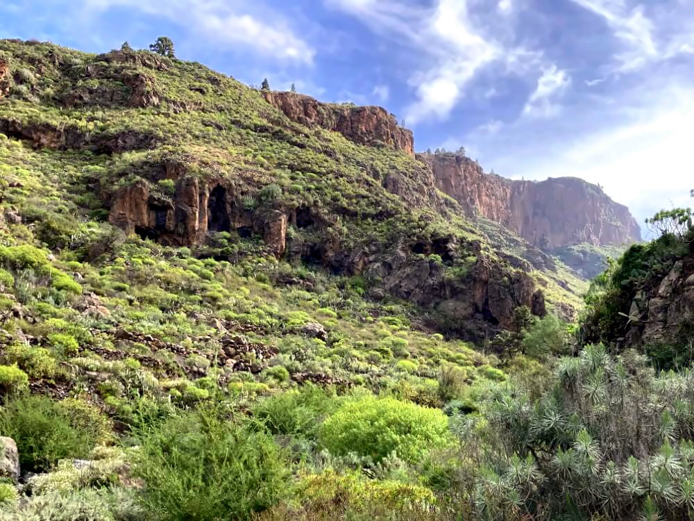 Schlucht auf Teneriffa