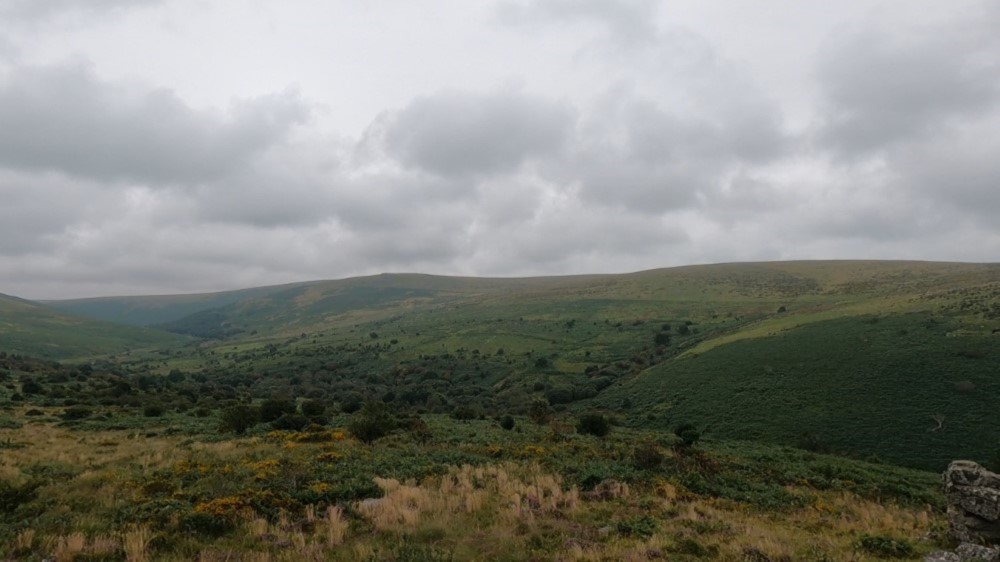 Blick zum Südplateau des Dartmoor.