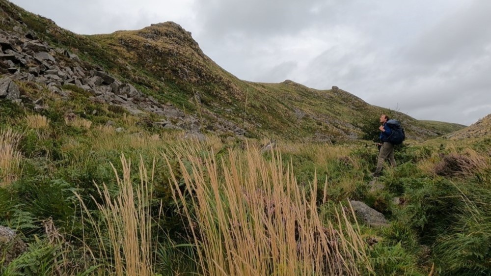 Blick in die Schlucht des Tavy Cleave.