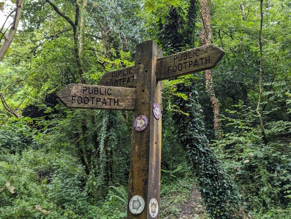 Wegweiser im Wald in der Nähe des Dartmoors.