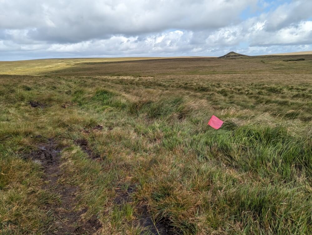 Wanderweg im Dartmoor.