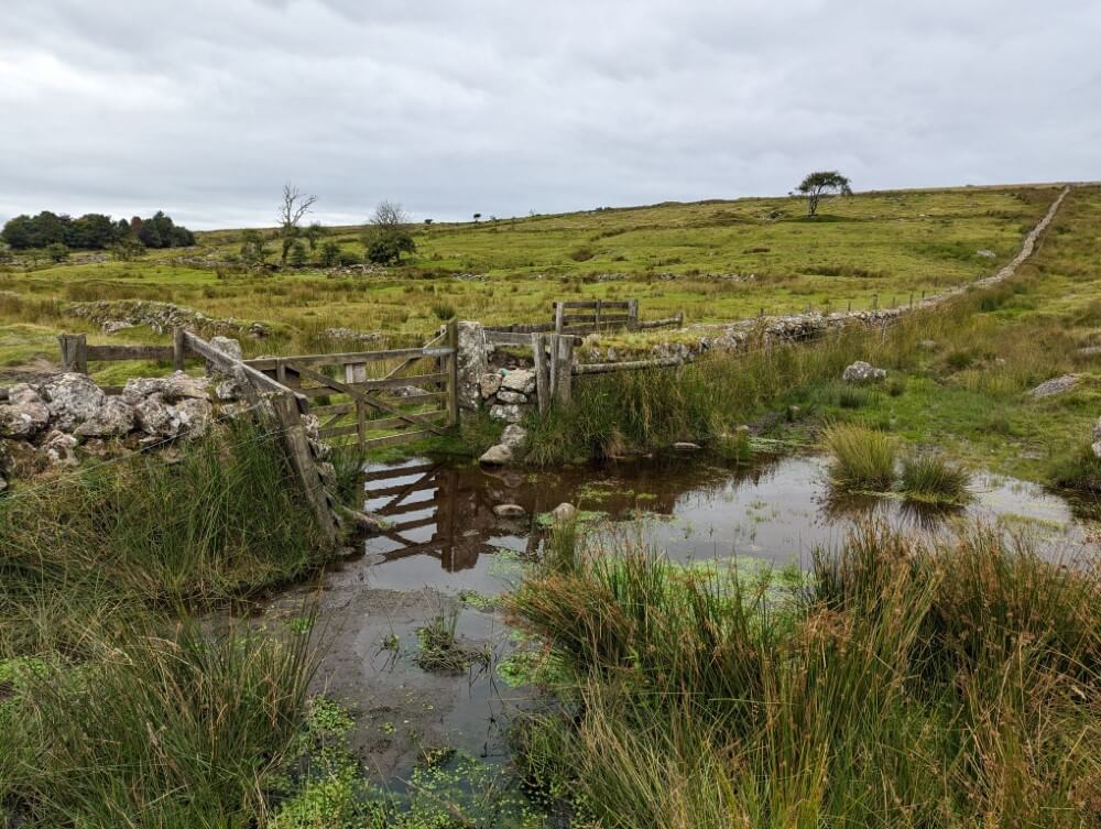 Überfluteter Wanderweg im Dartmoor.