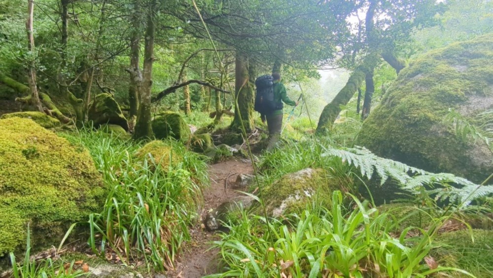 Wanderung durch das Dart Valley.