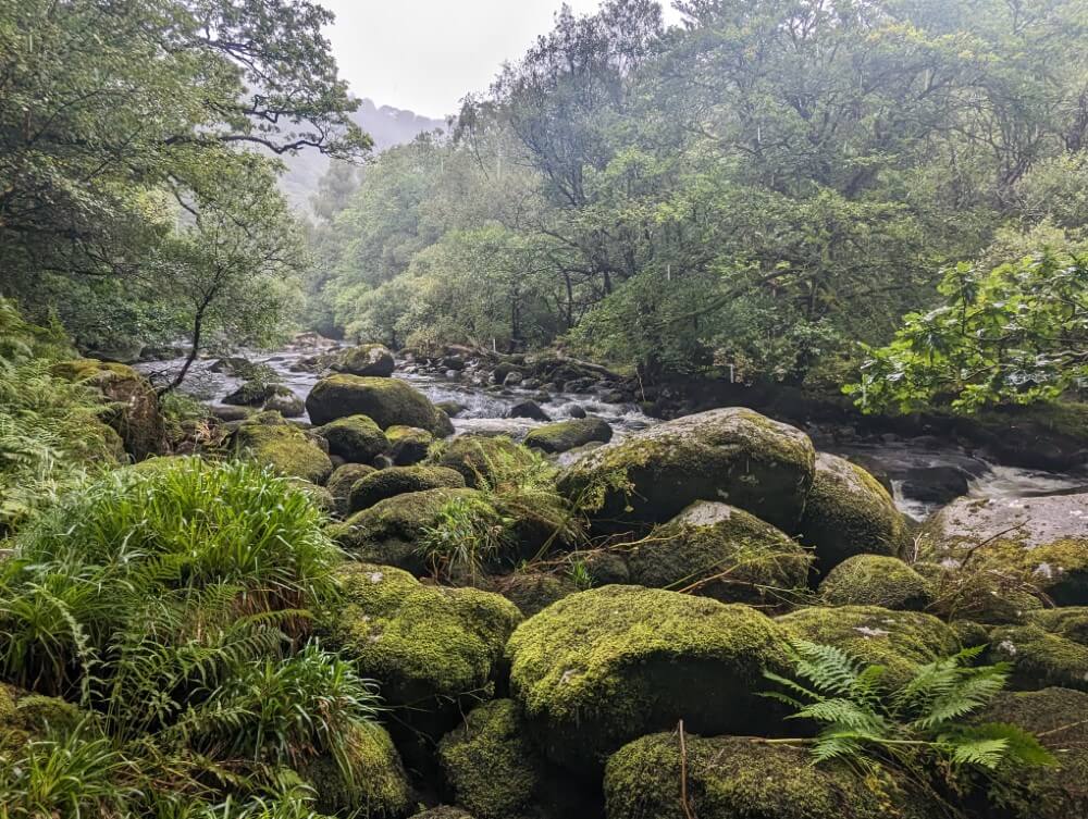 Flusstal des River Dart.