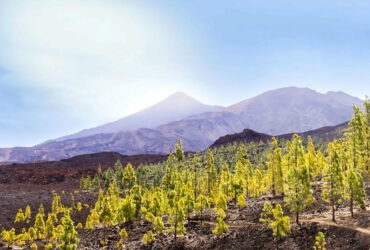 Teneriffa: Wildcampen, Camping, Zelten - Erfahrungen + Tipps volcano-7415140_1280