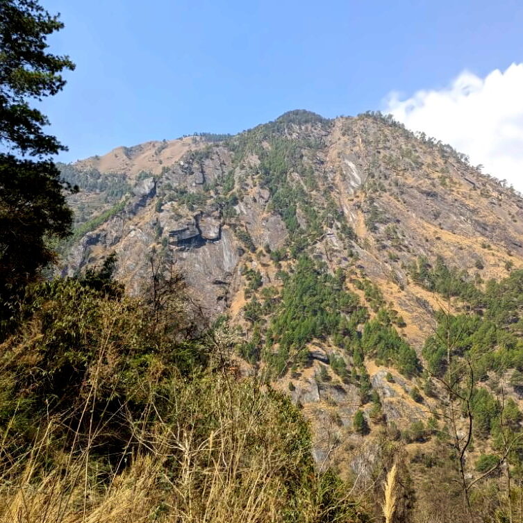 PXL_20240314_045438658