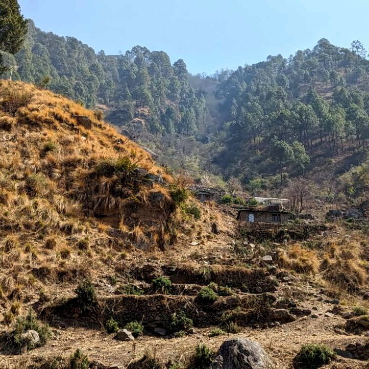 PXL_20240314_050521268~2