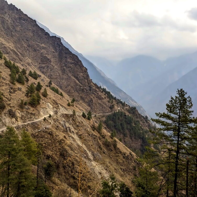 PXL_20240314_102845001