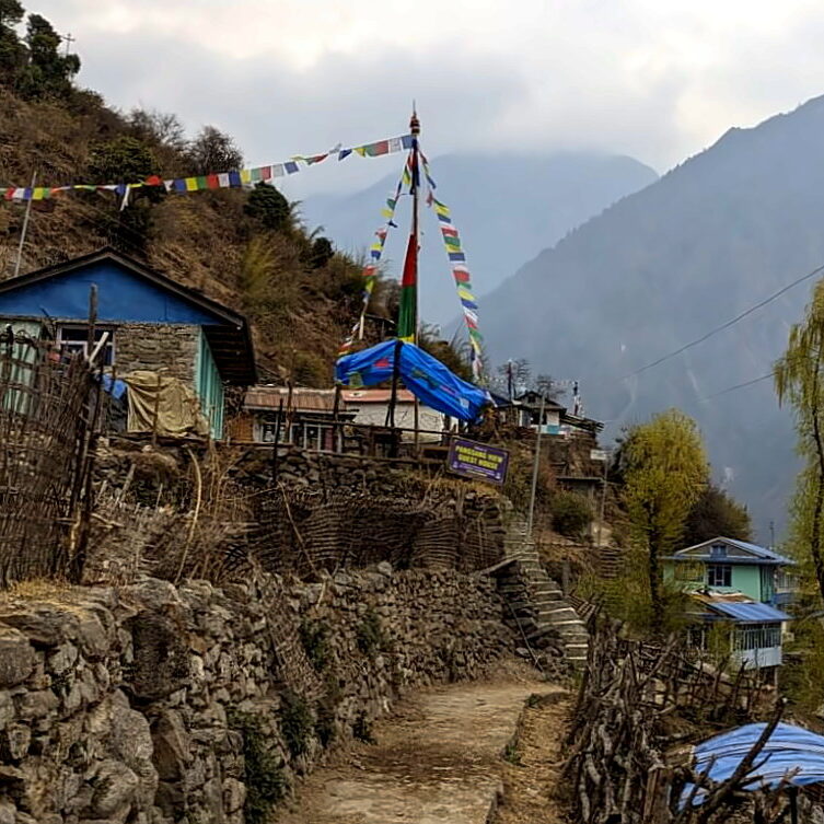 PXL_20240314_112331098