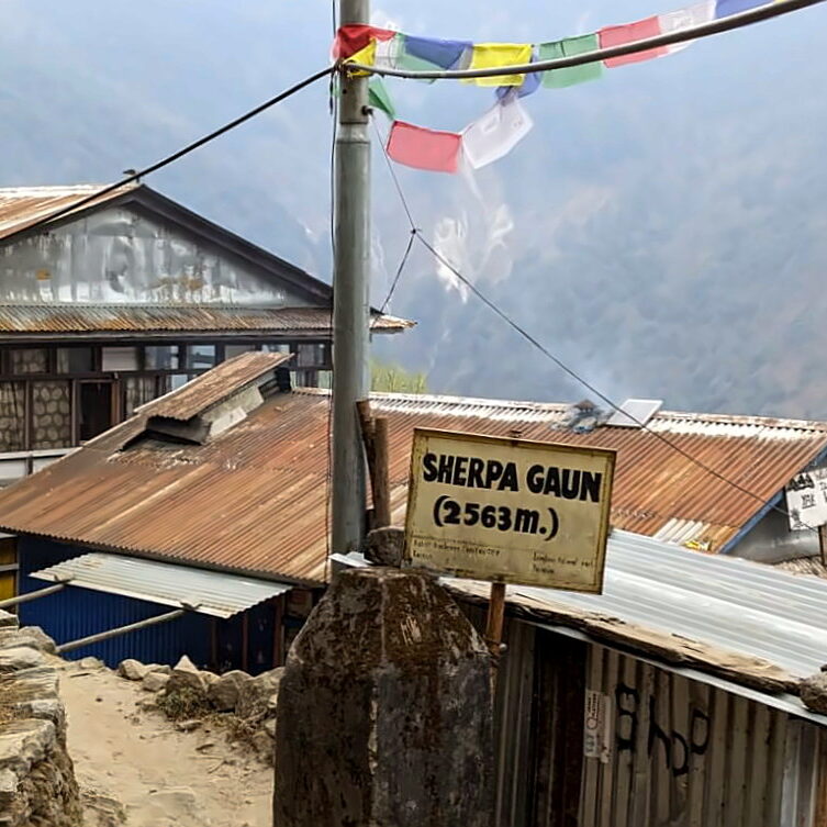 PXL_20240314_112645636