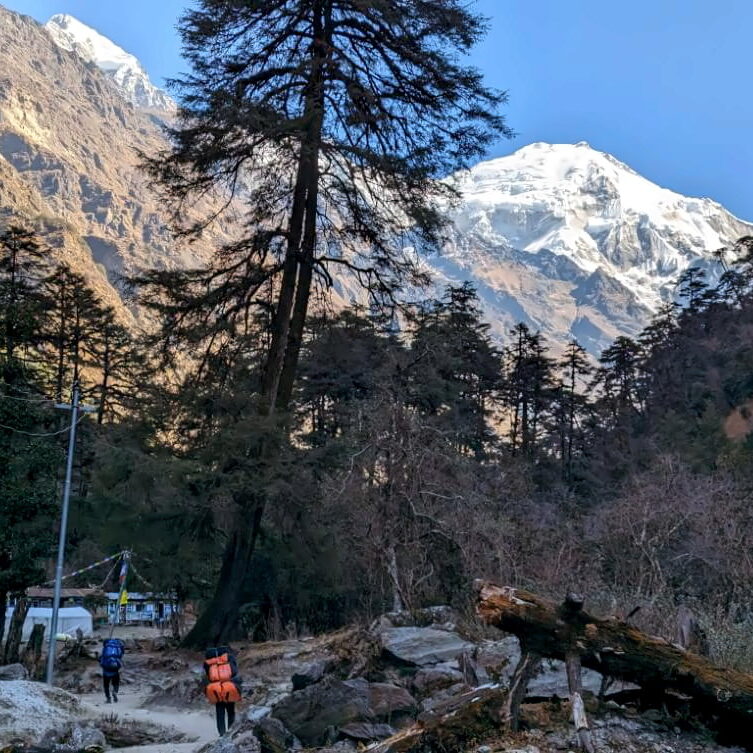 PXL_20240317_033700082