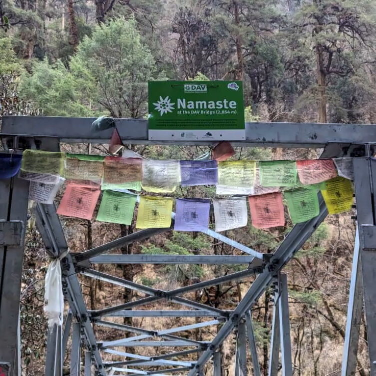 PXL_20240317_035419616