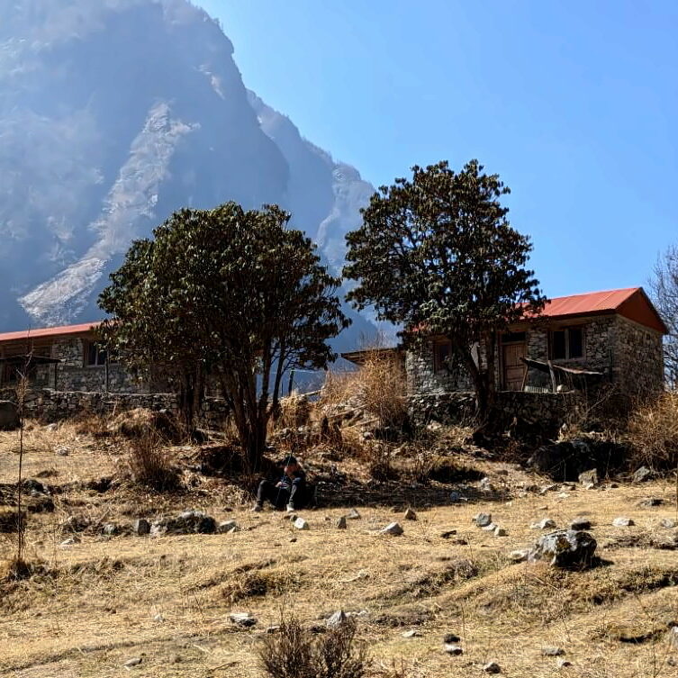 PXL_20240317_044504166