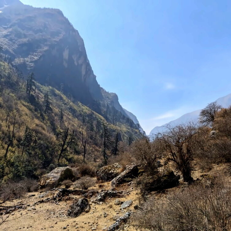 PXL_20240317_061153474