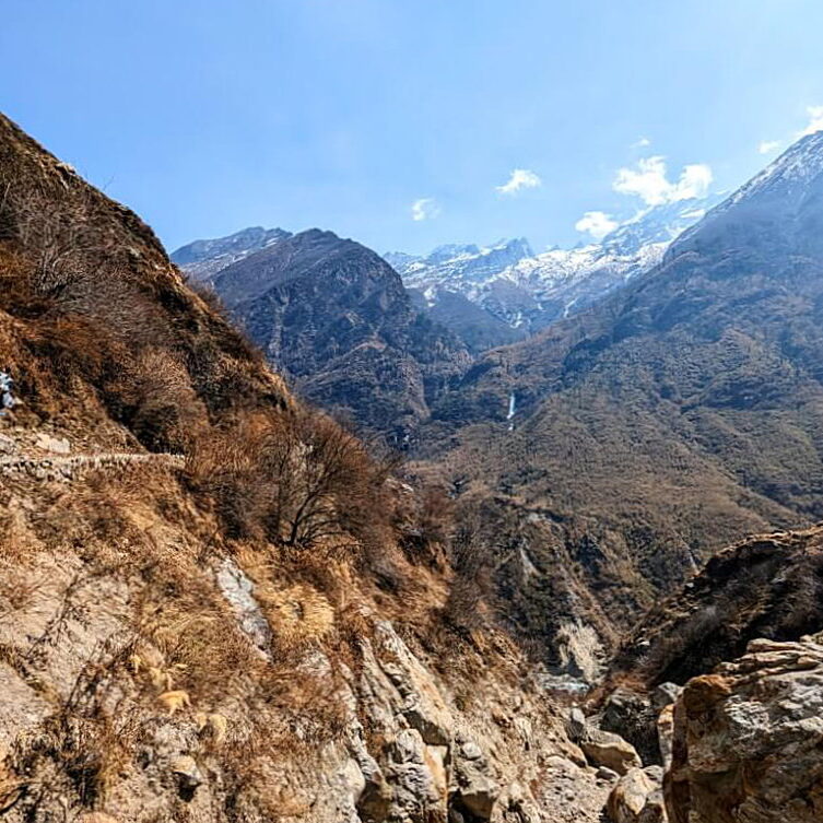 PXL_20240317_074548033~2