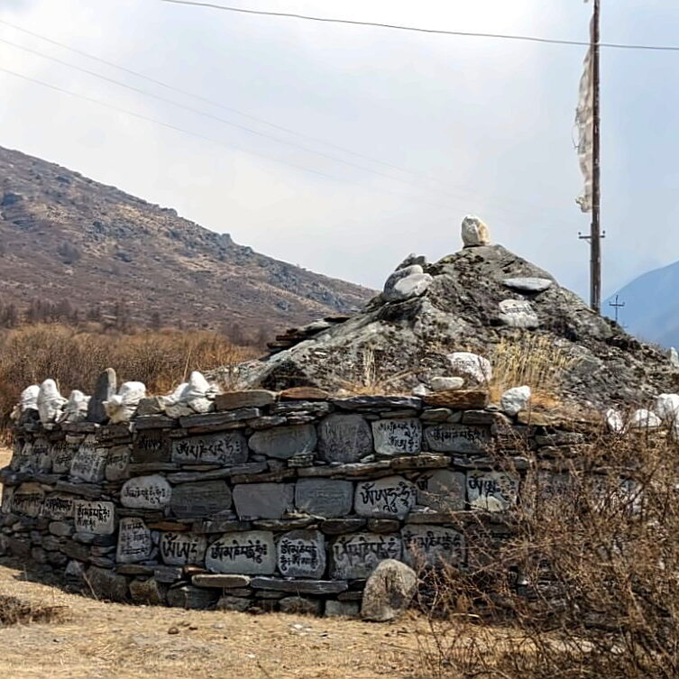 PXL_20240318_071310618