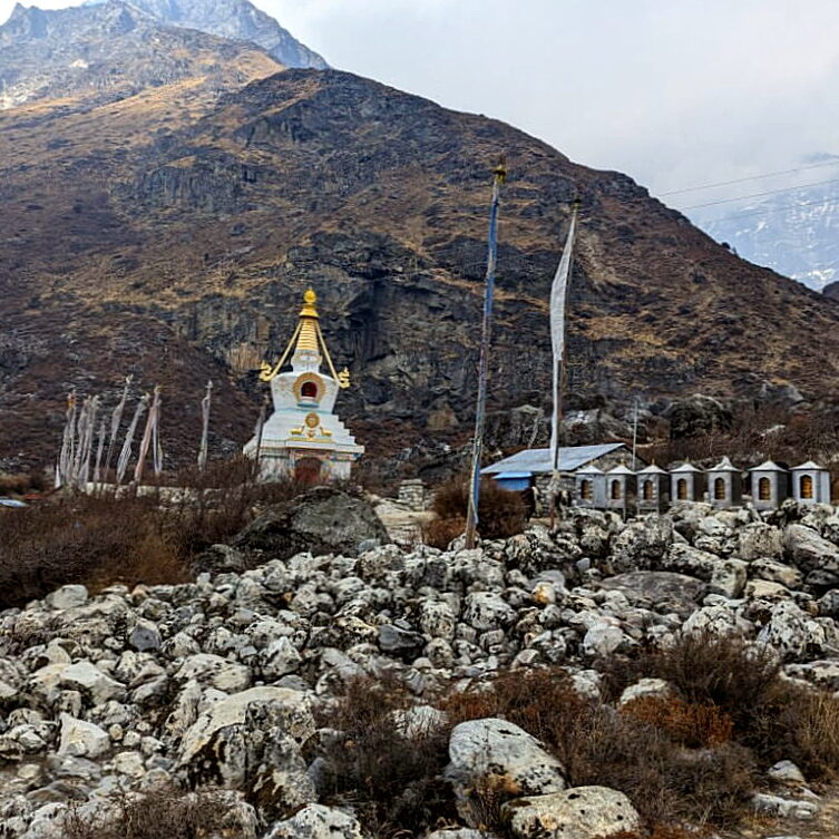 PXL_20240318_084632265