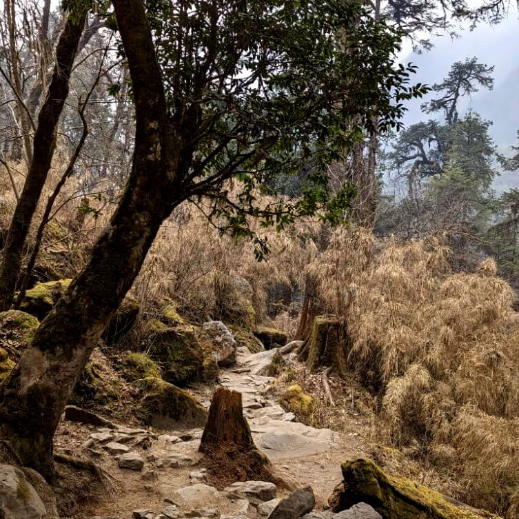 PXL_20240320_092908103