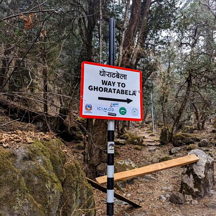 PXL_20240320_093559828