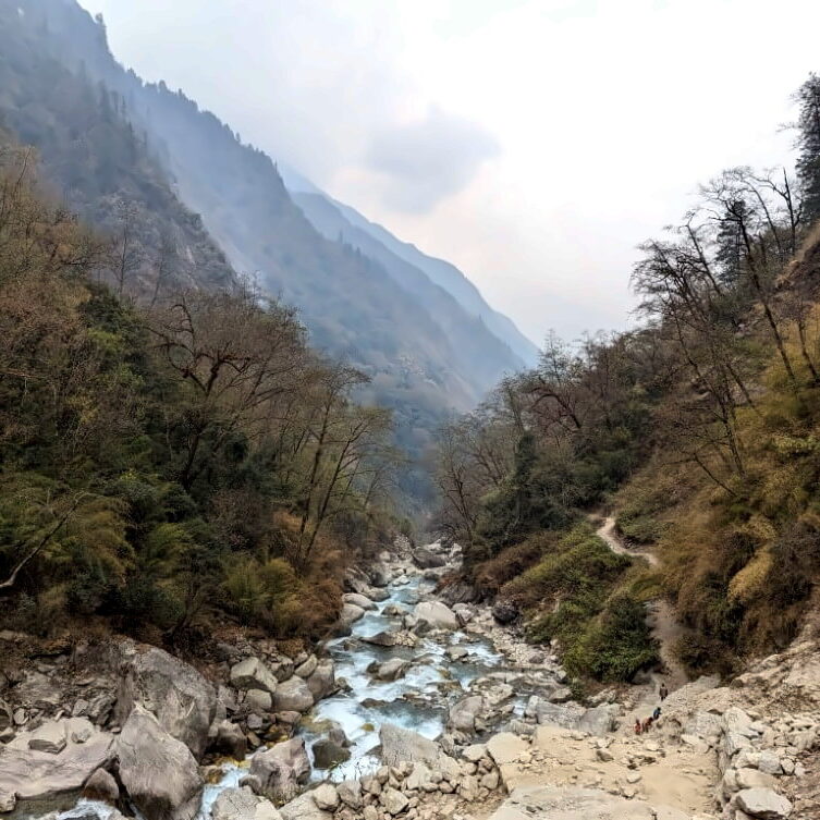 PXL_20240321_060640244