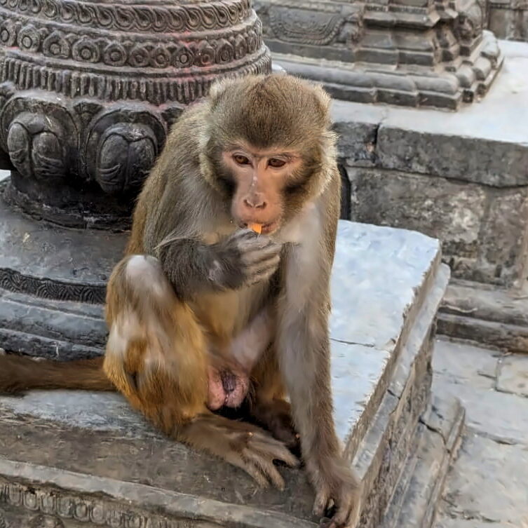 PXL_20240312_102529016