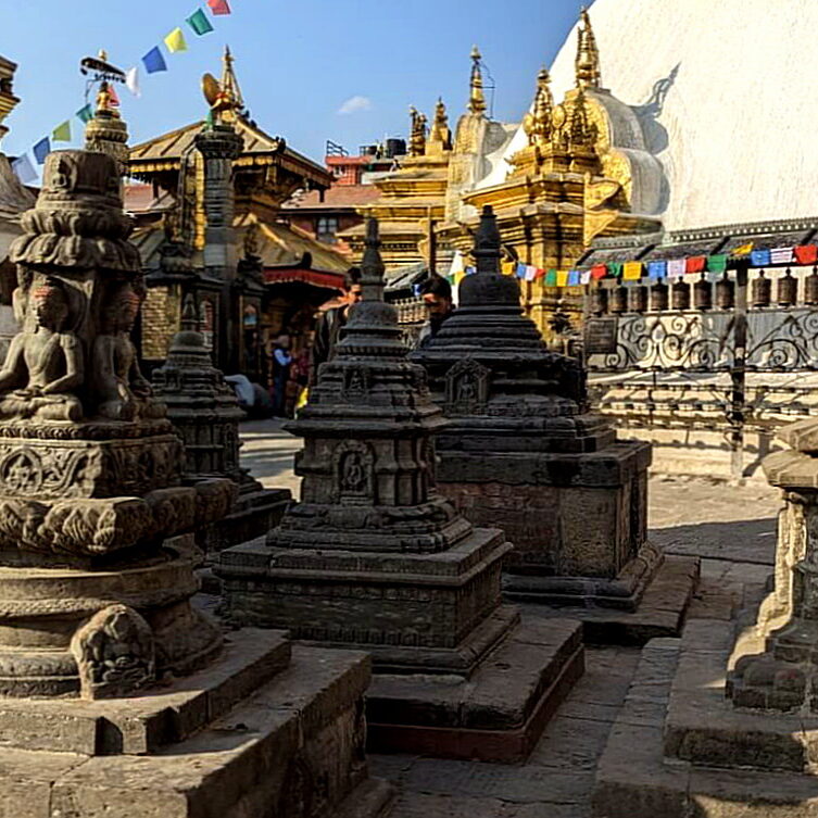 PXL_20240312_103110201.PORTRAIT