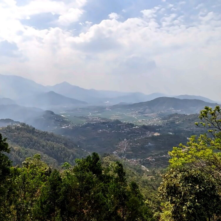 PXL_20240406_092003293