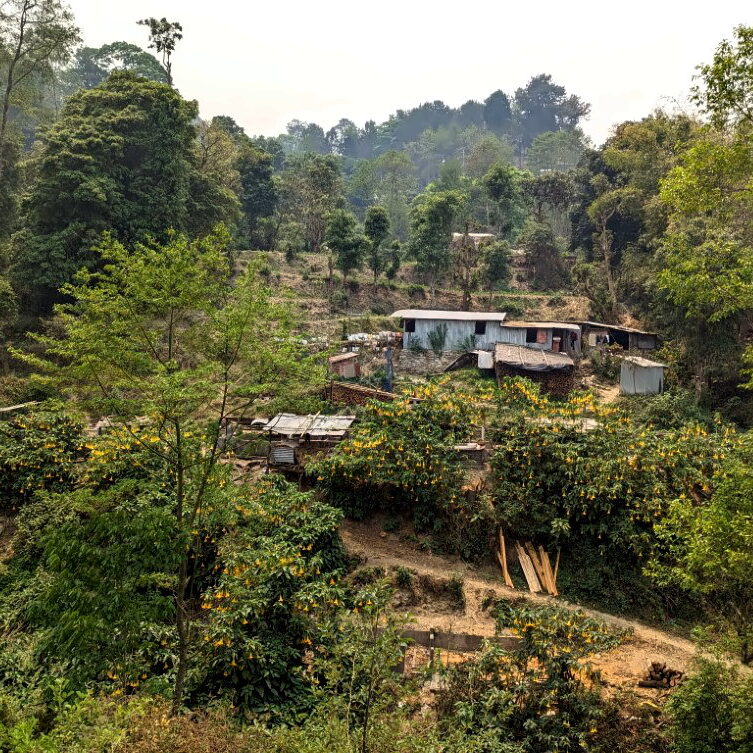 Tillarning katta fotosurati