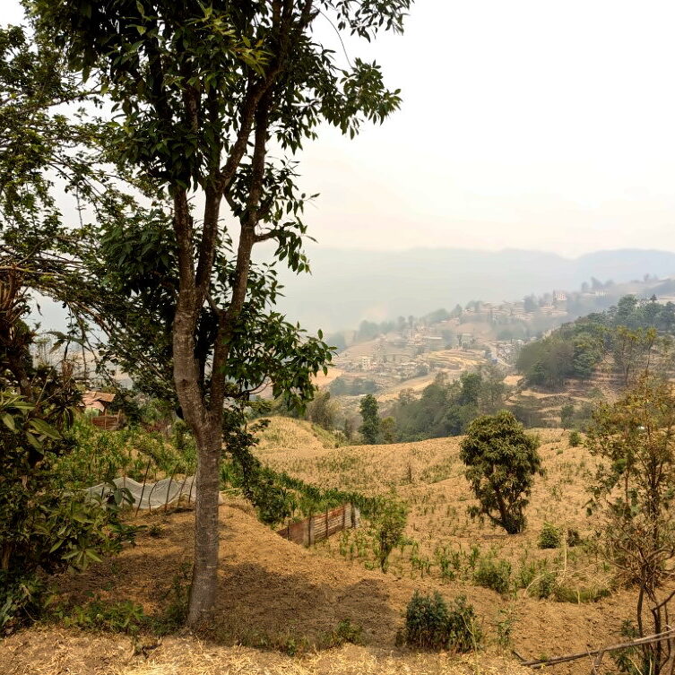 PXL_20240504_054521621.MP