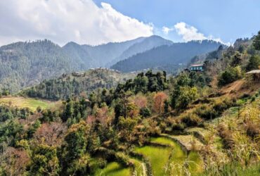 Nepals verstecktes Paradies: Warum dieses Homestay ein echter Geheimtipp ist Nepal Homestay Artikelbild